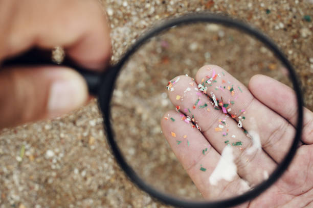 Microplastics Found in Human Sperm: What It Means for Male Fertility