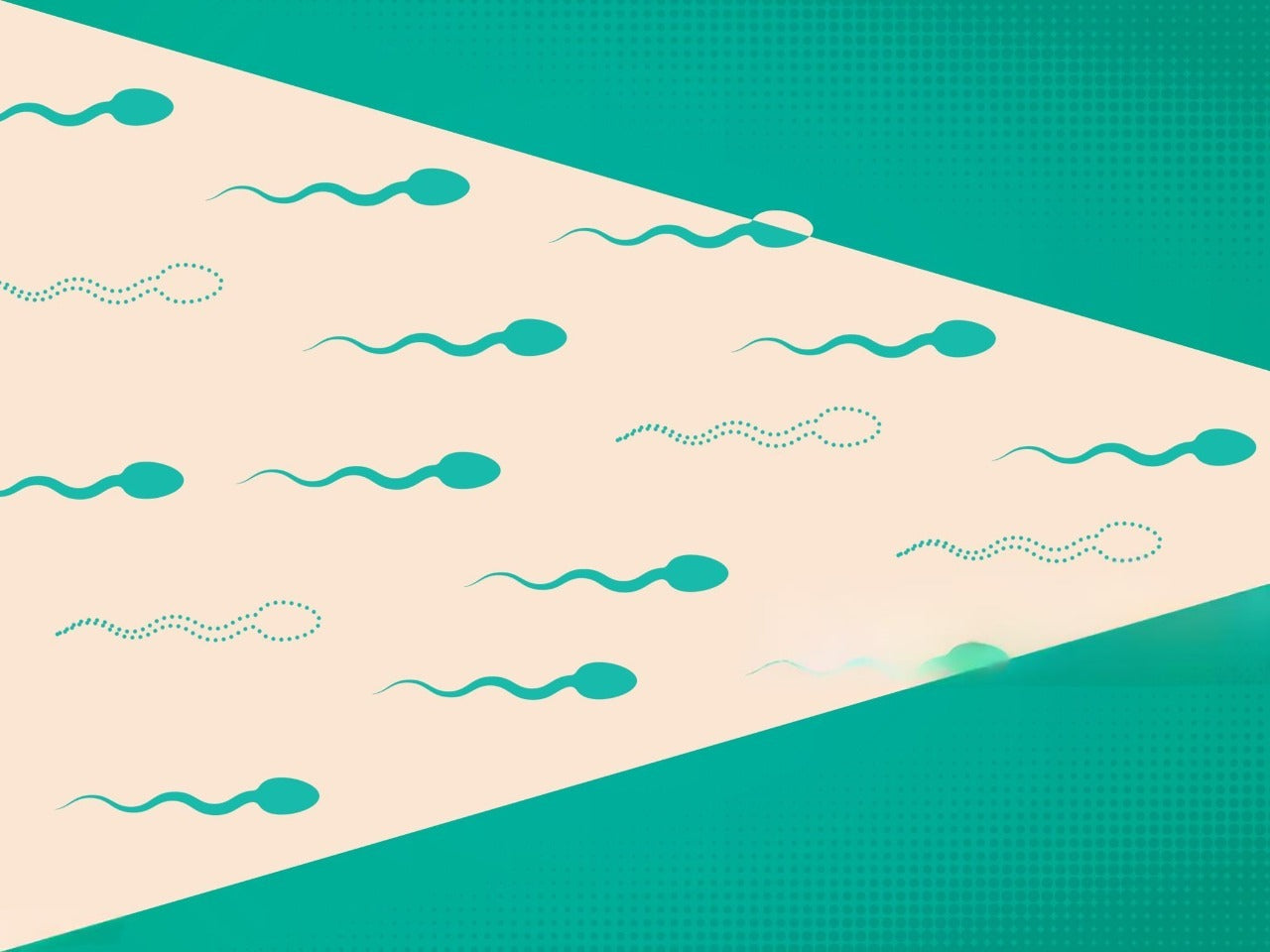 Male Fertility Is Declining: What the Science of Sperm Reveals